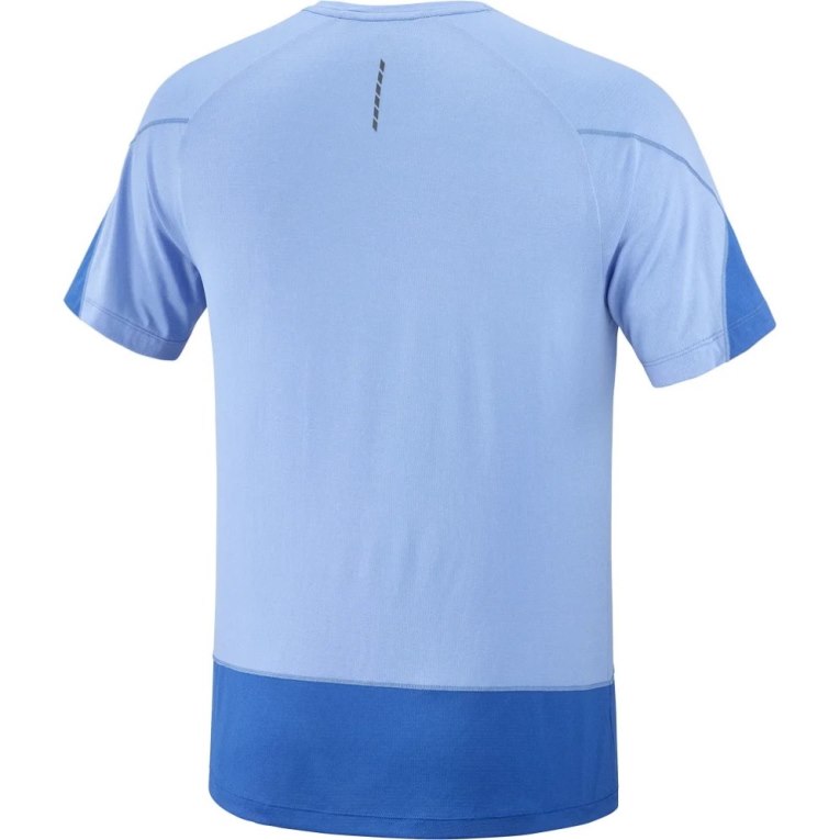 Camiseta Salomon Cross Run Gráficas Curta Sleeve Masculino Azuis | PT L35829